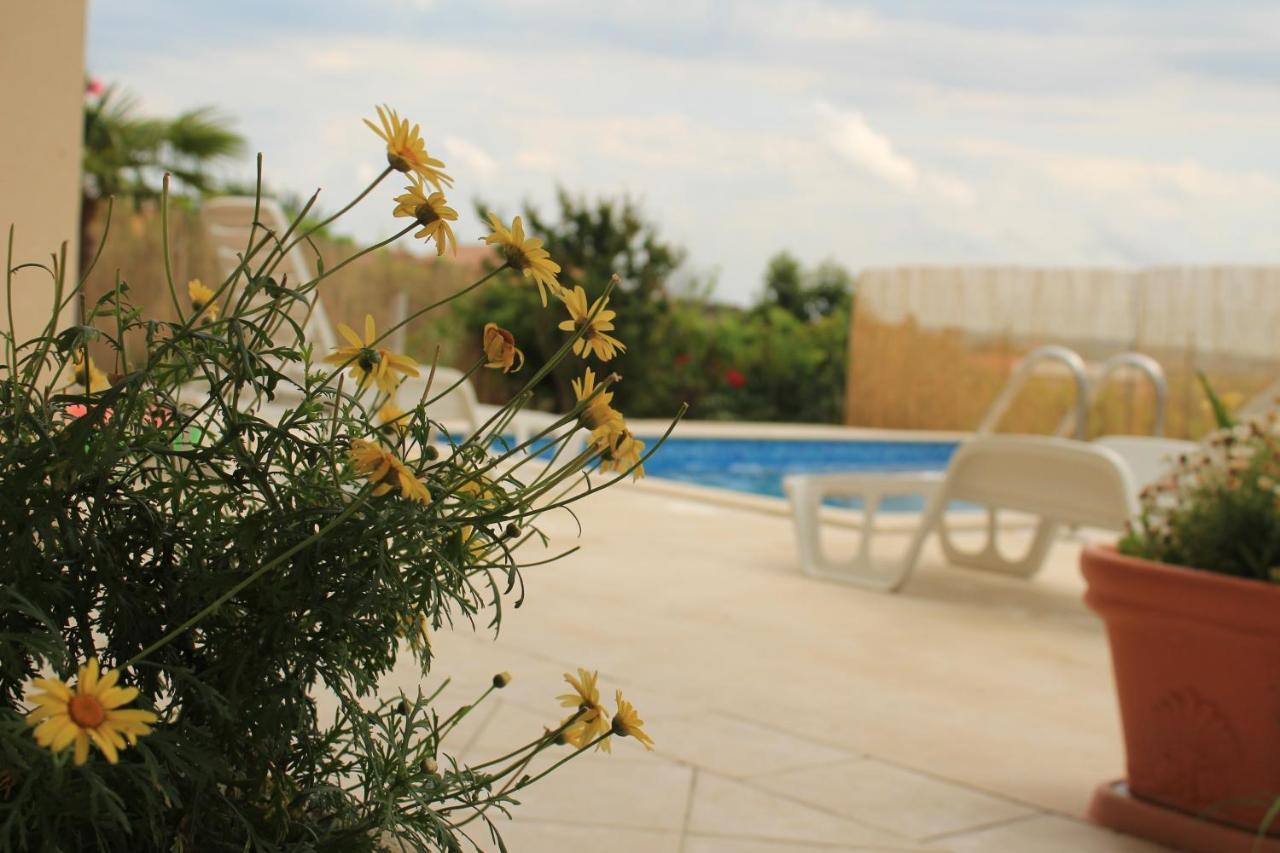 Apartman Robi Nova Vas  Exterior foto